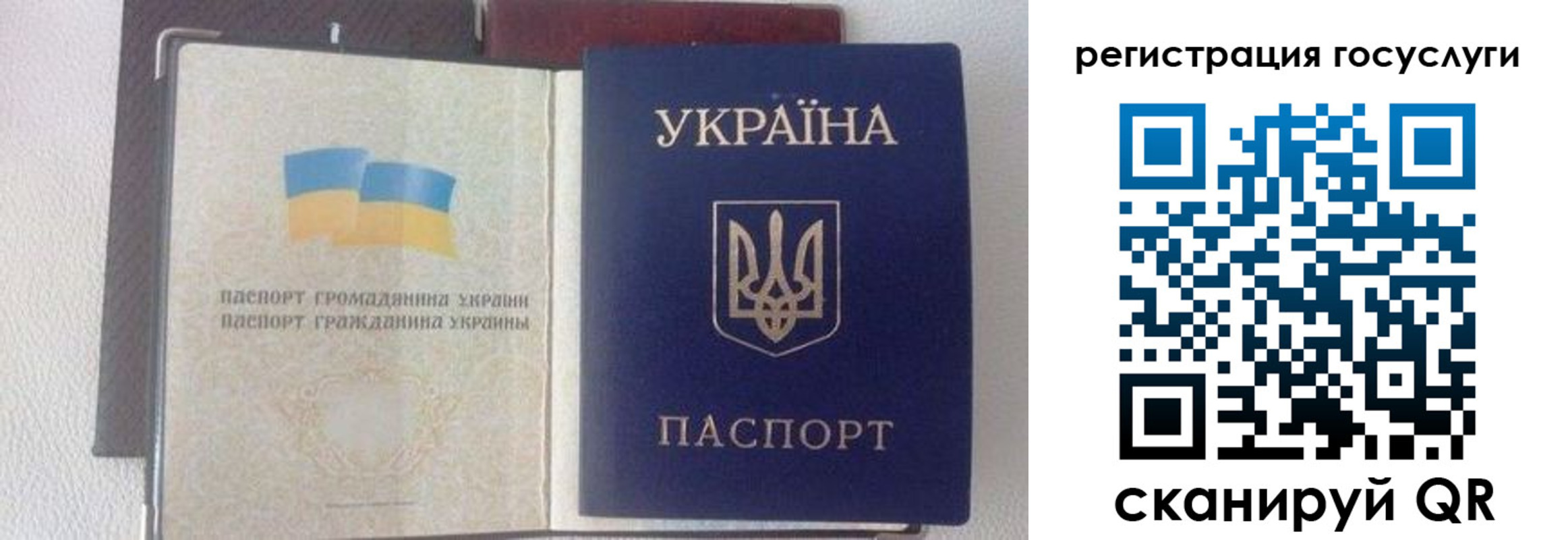 прописка для работы в Фокино